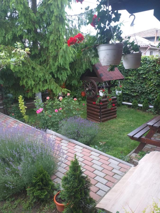Casa Mola Lägenhet Mangalia Exteriör bild