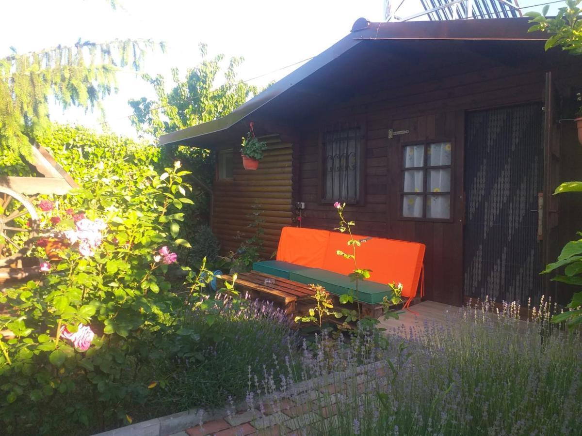 Casa Mola Lägenhet Mangalia Exteriör bild