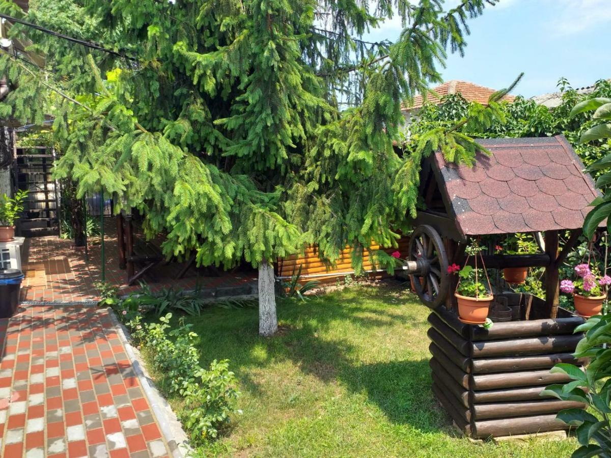 Casa Mola Lägenhet Mangalia Exteriör bild